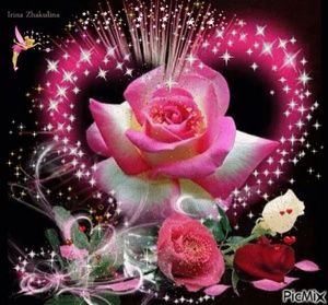 Meet your Posher, Sandy